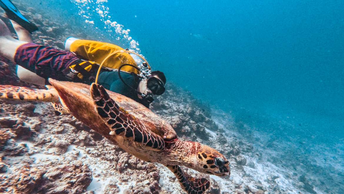 Scuba diving